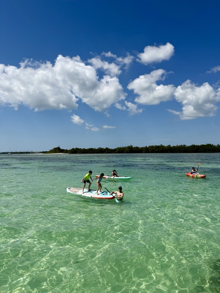 Kids paddleboarding on stunning clear green-blue water beside a mangrove islet under bold clouds