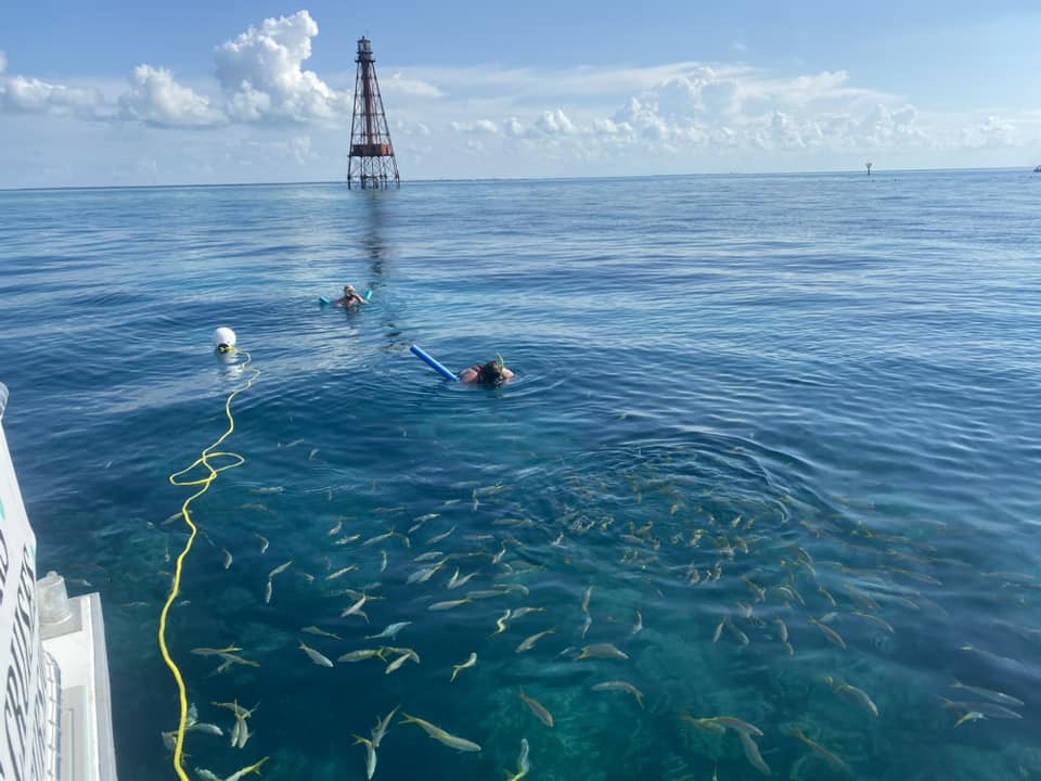 Snorkelers by a reef tower with a dense school of fish in the clear water