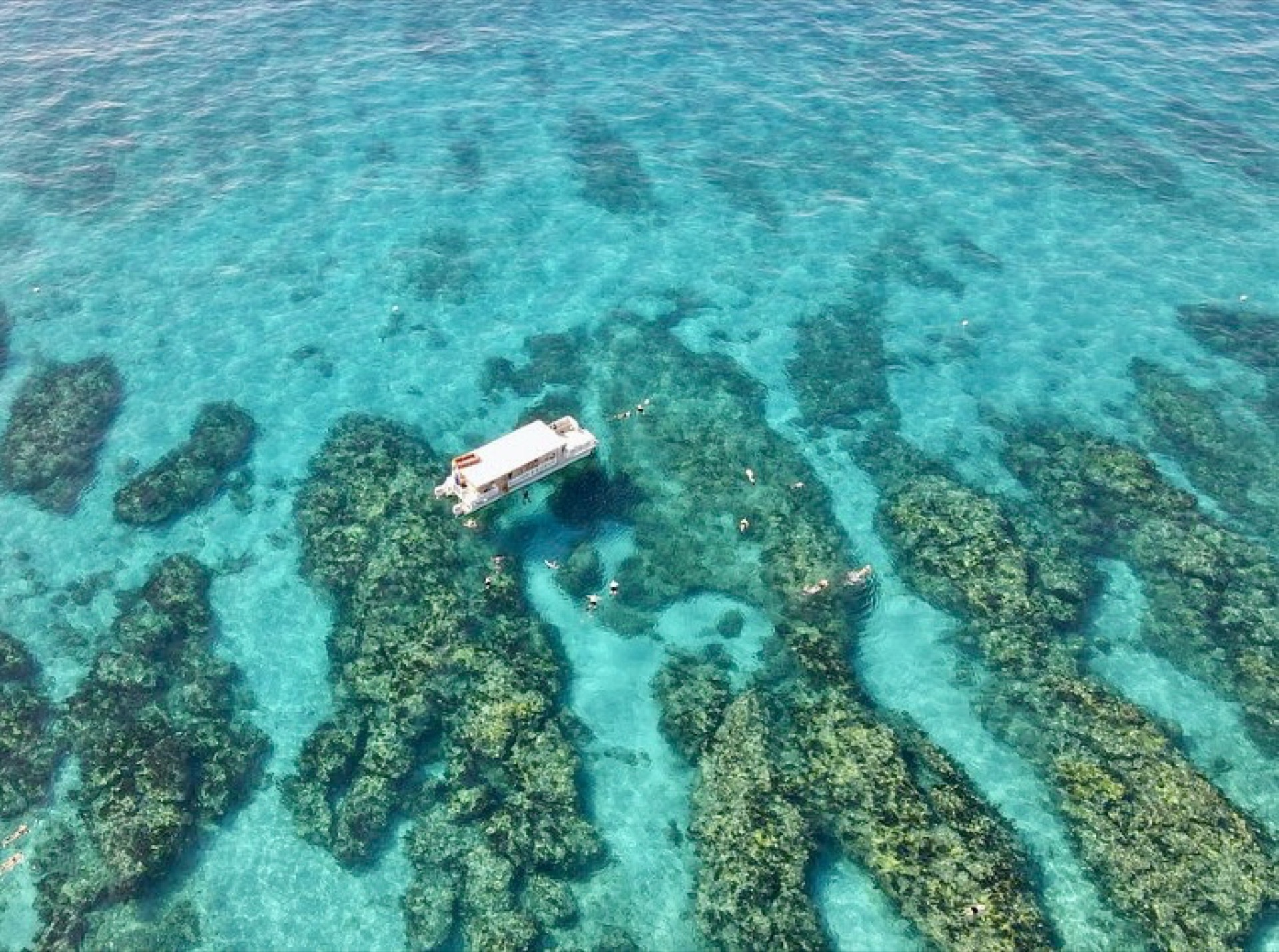 A crisp aerial of the branded Marathon Mermaid catamaran over emerald-green water