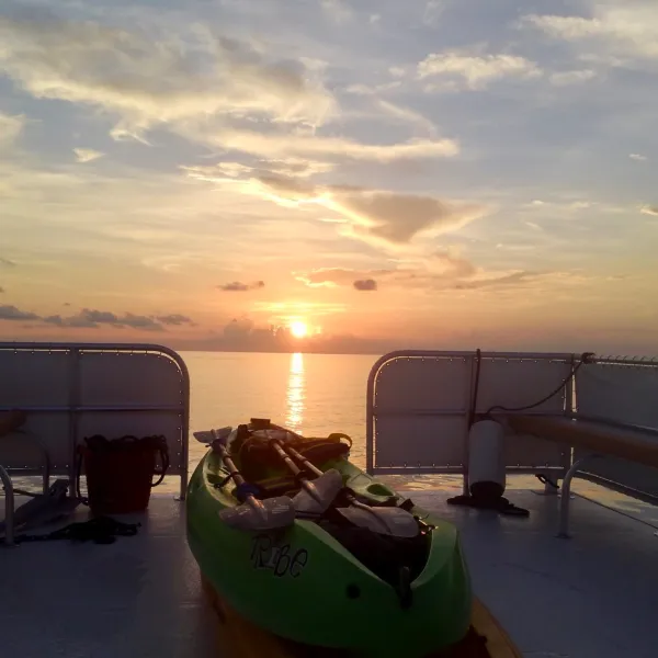 a bench overlooking the ocean