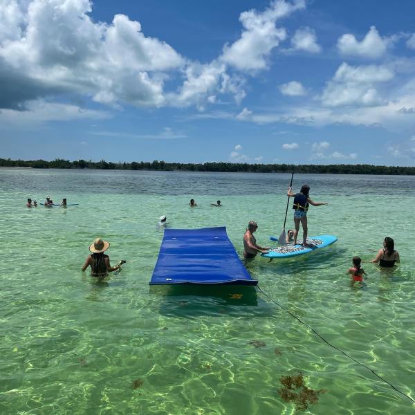 a group of people swimming in a body of water
