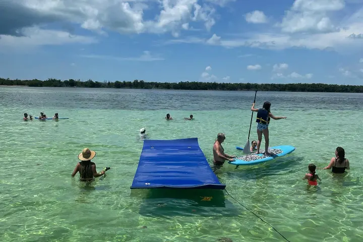 a group of people swimming in a body of water